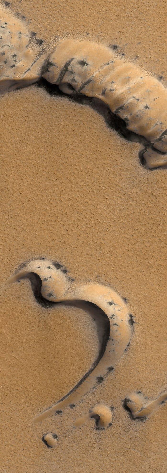 martian-moss.jpg