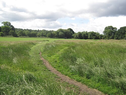 Hampstead Heath Hampstead Heath