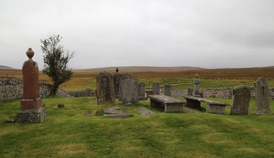 Kinbrace