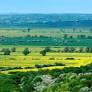 Romney-Marsh-From-Lympne
