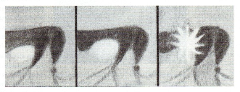 edom-promontorium flare 1954