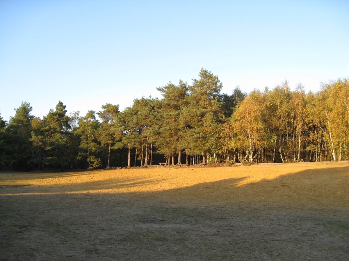 horsell-common-sandpit