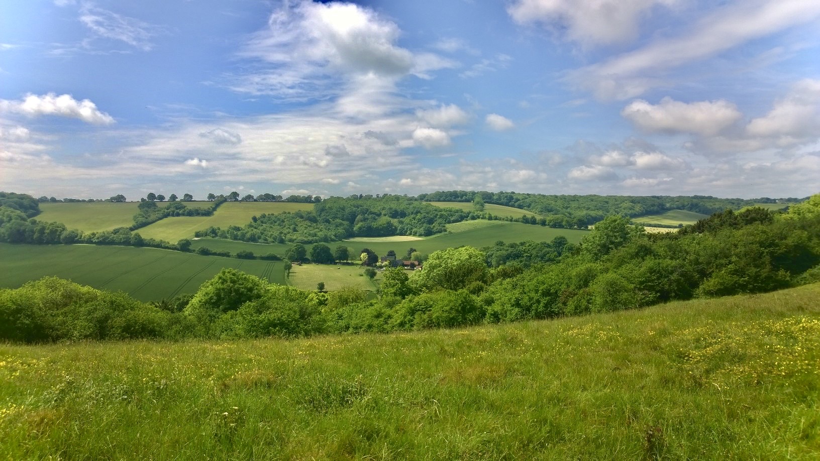 Chilterns in Buckinghamshire