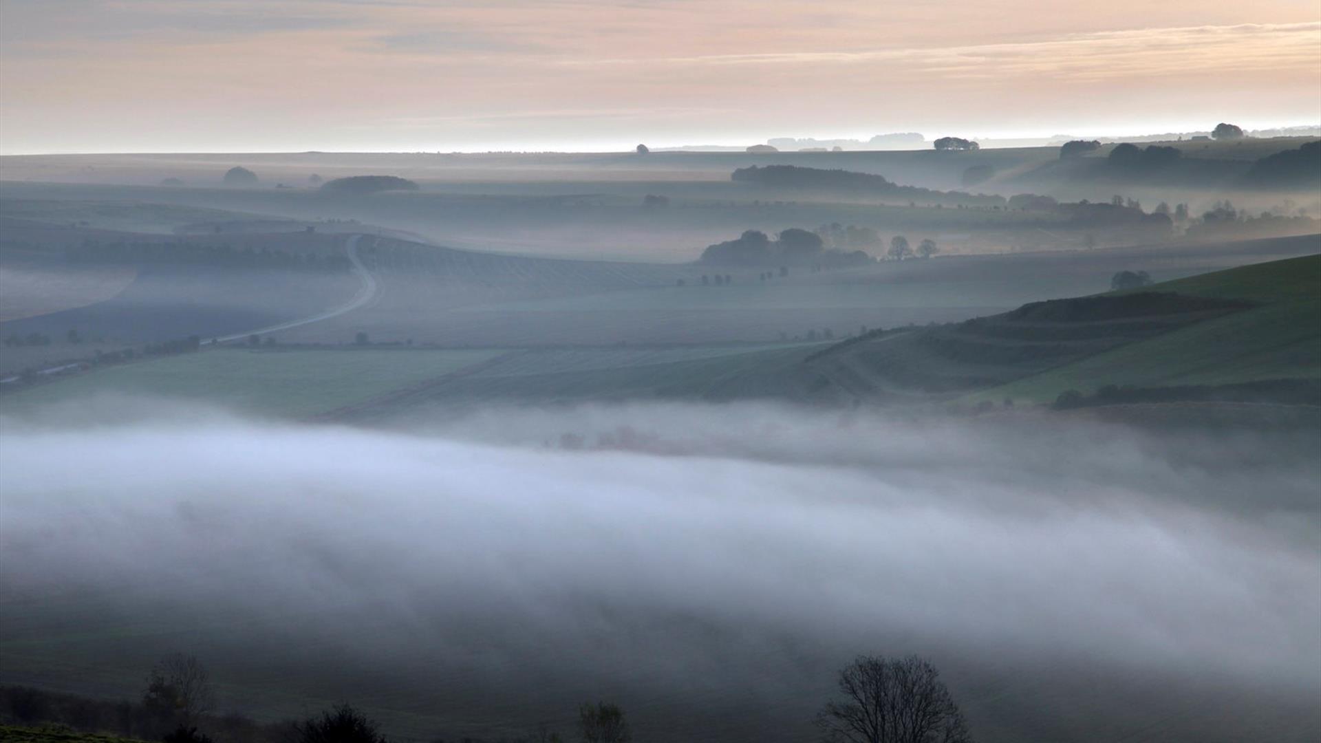 Salisbury Plain