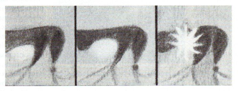 edom-promontorium flare 1954